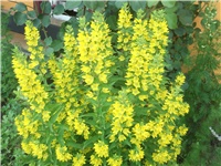 91bd40e0-Picture 018.jpg